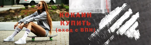 твердый Алексеевка