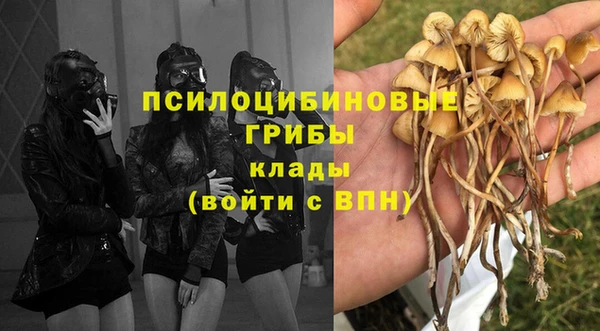 меф Алексин