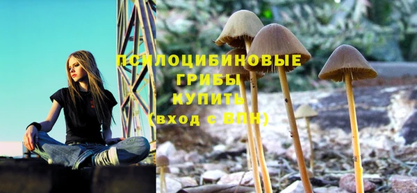 твердый Алексеевка