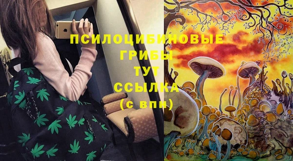 меф Алексин