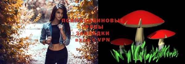 a pvp Алзамай